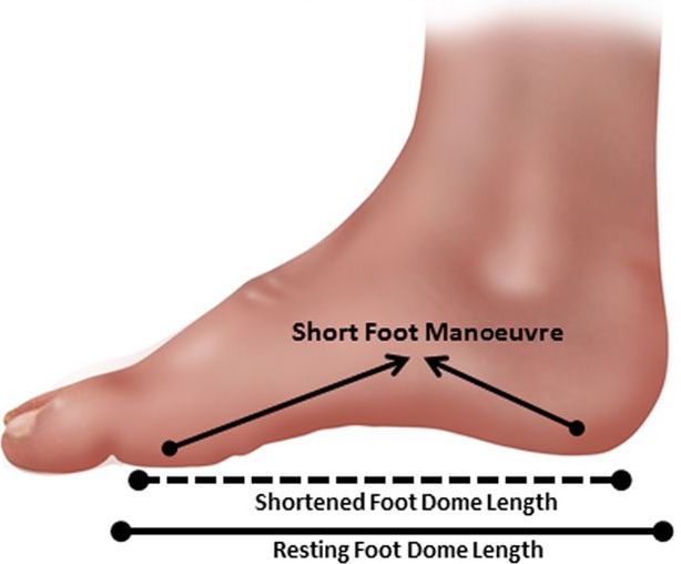 Short Foot Exercise